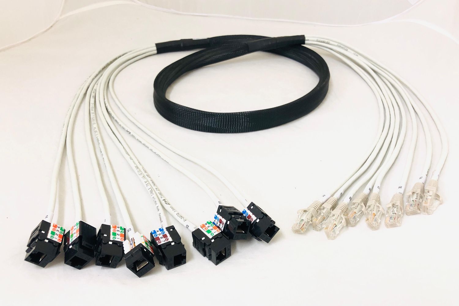 Network cable loom harness in a black braided sleeve, fanning out to RJ45 plugs at one end and keystone jacks at the other